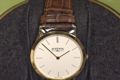Juvenia Watch C5Q6.6.113.21 - 3