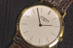 Juvenia Watch C5Q6.6.113.21 - 5