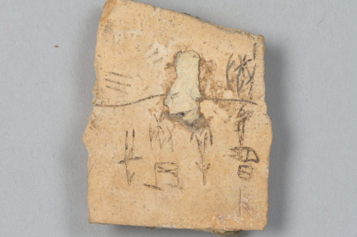 Art as a language How nature and life formed the Chinese language oracle bone writing