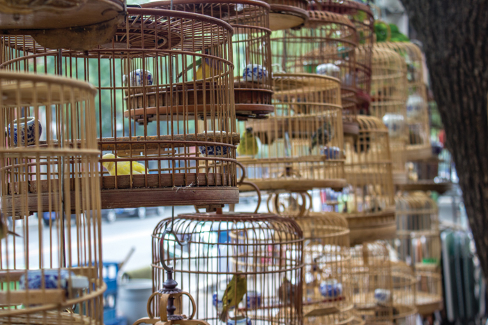gafencu hong kong culture The Arts of Survival Shining a light on Hong Kong’s disappearing artisanal trades and skills Birdcage