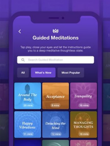 Gafencu well being wellness best mindful meditation app sattva