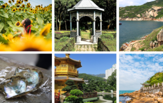 gafencu-unique-places-to-visit-things-to-do-hong-kong