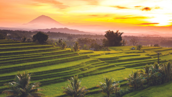 Bali High: 8 beautiful reasons to travel to Bali, Indonesia